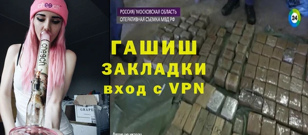 молекула духа Осташков