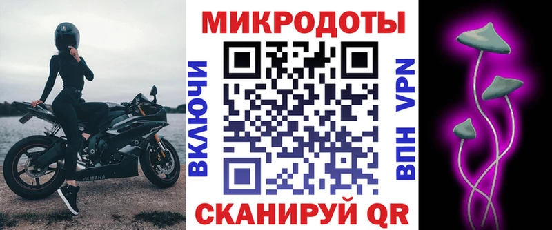 Галлюциногенные грибы Psilocybe  Купить закладки  Калининец 